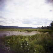 Whitewater Nature Preserve Swamp