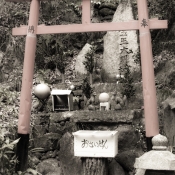 Japan digital 1