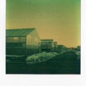 Green Houses and Snow
