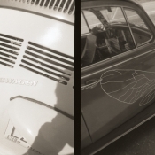 Beetle