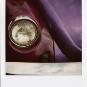 Beetle 1