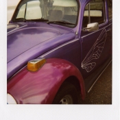 Beetle 2