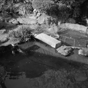 Japan black and white 02