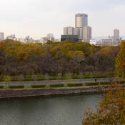 city skyline