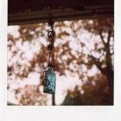 Blue bottle