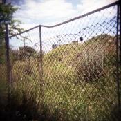 Minneapolis Fence