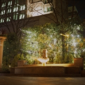 Night Fountain