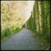 Path