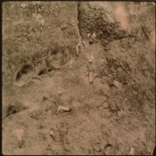 Mills Bluff 2