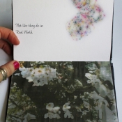 Spring_book_page_8_JesLee