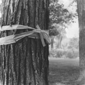 yellow ribbon 1